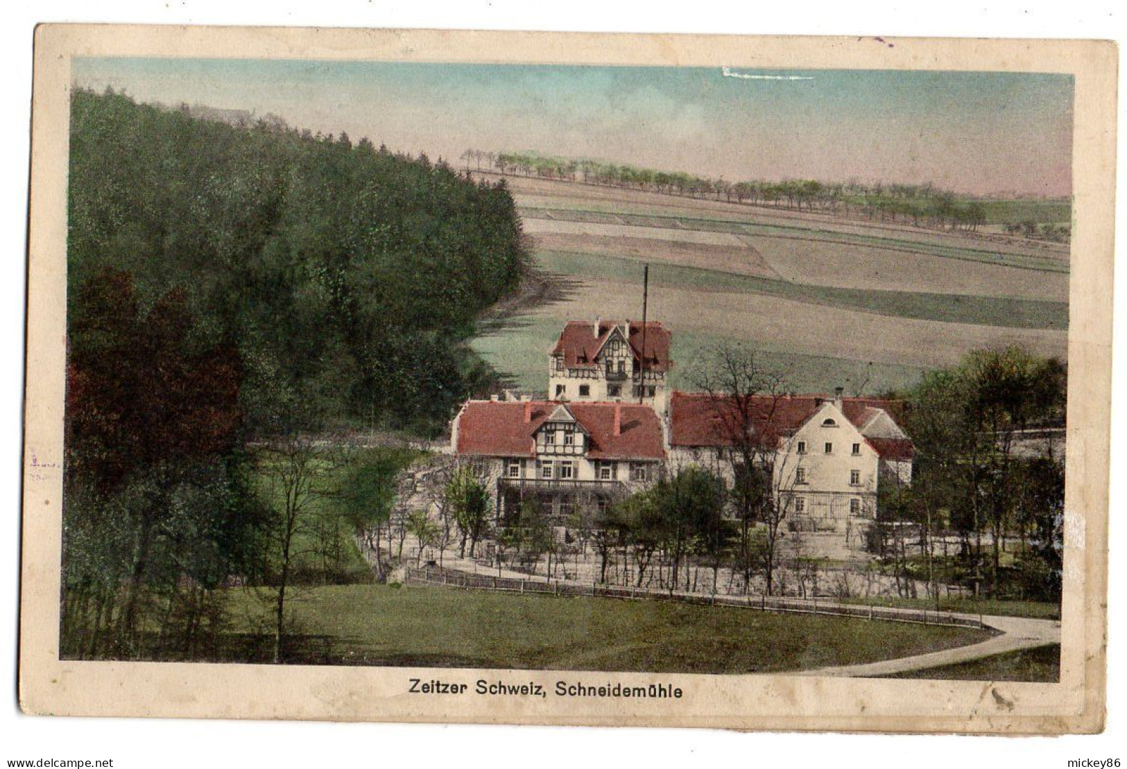 Allemagne-- ZEITZ--1913--Zeitzer Schweiz  Schneidemuehle  ..carte Colorisée....cachet - Zeitz