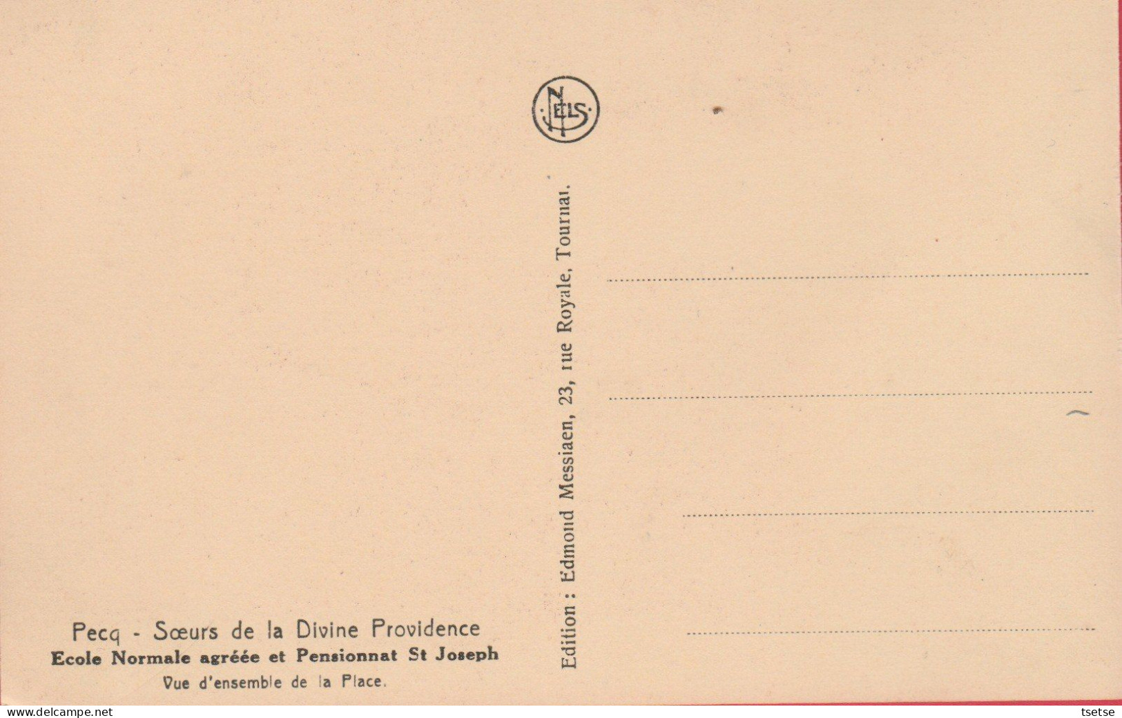 Pecq- Ecole Normale Et Pensionnat St Joseph - Vue D'ensemble De La Place ( Voir Verso ) - Pecq