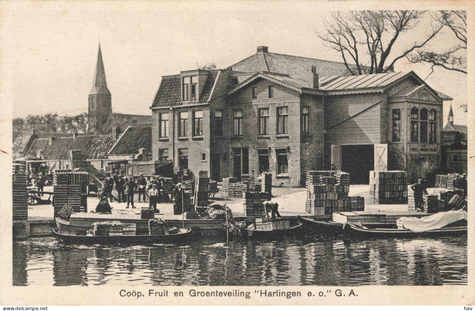 Harlingen Coöperatieve Fruit- En Groenteveiling 1989 - Harlingen