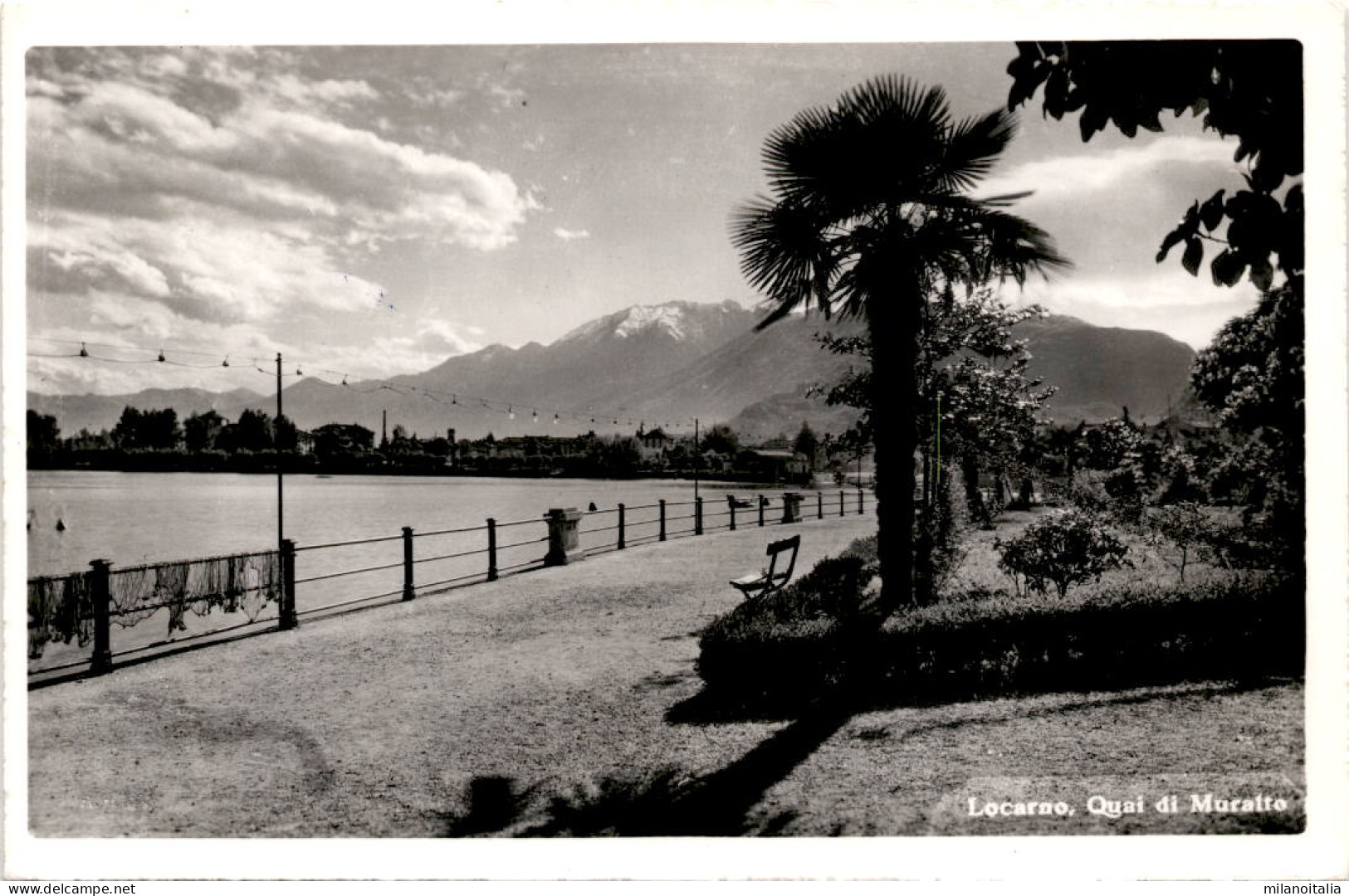 Locarno - Quai Di Muralto (6145) * 10. 11. 1960 - Muralto