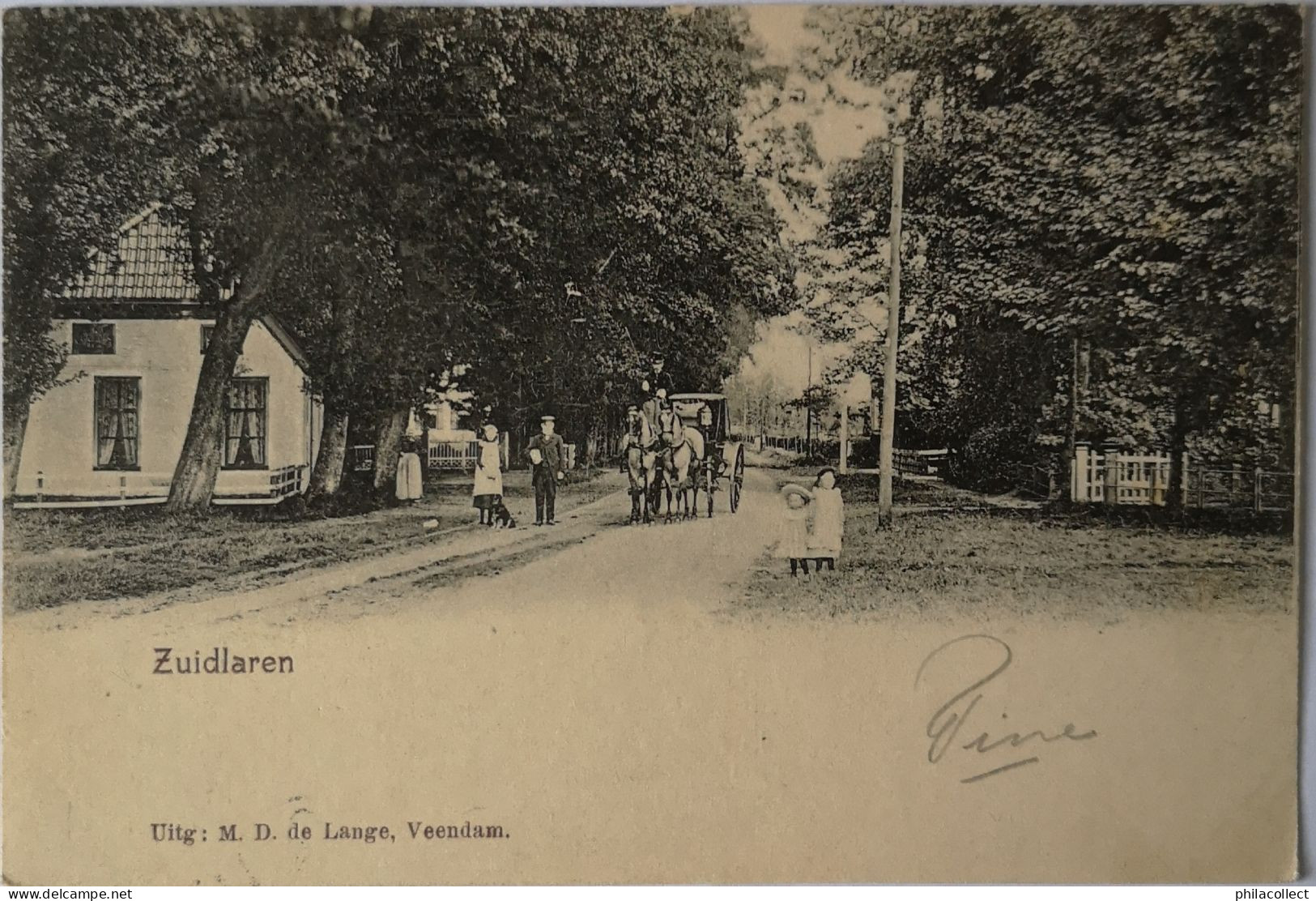 Zuidlaren (Dr.) Zicht In Het Dorp (Koets) 1904? - Zuidlaren