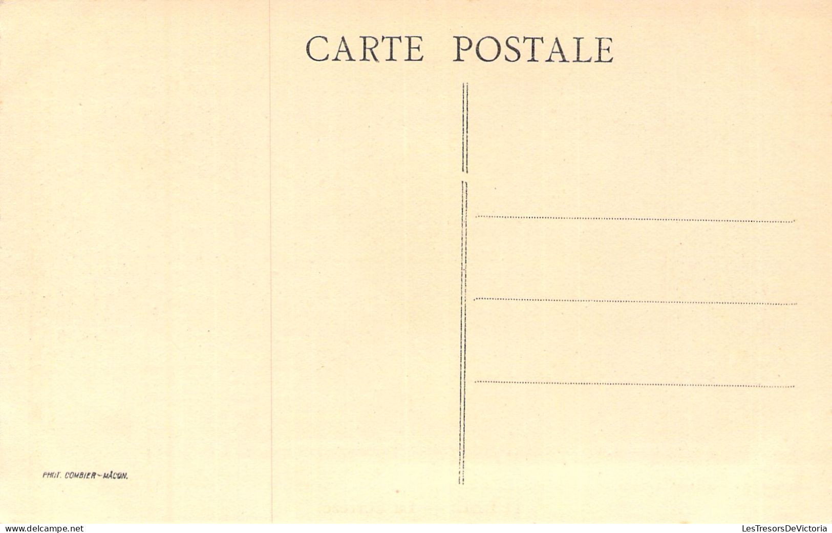 FRANCE - 19 - TULLE - La Corrèze - Carte Postale Ancienne - Tulle