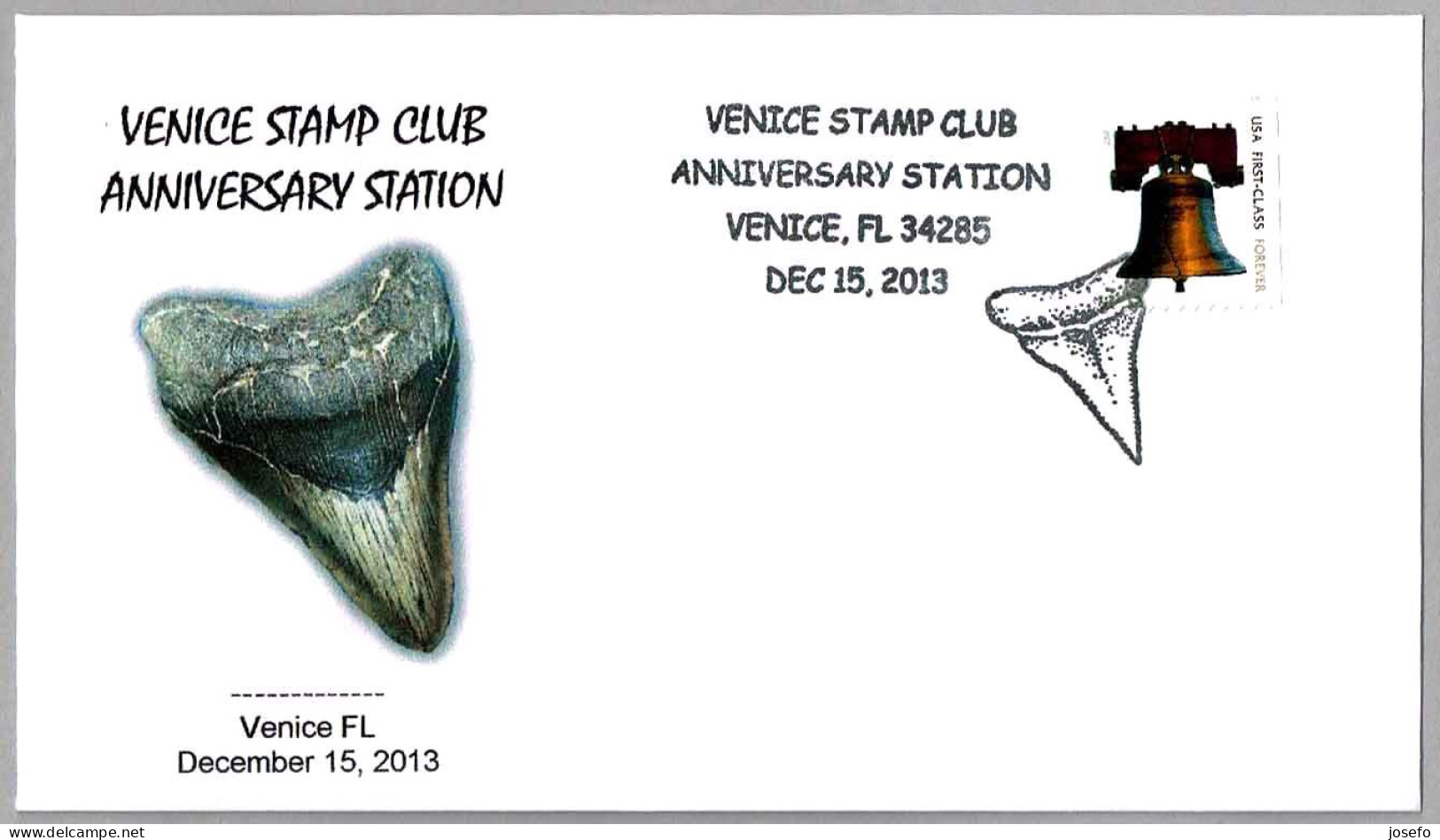 DIENTE DE TIBURON - SHARK TOOTH. Venice FL 2013 - Fossiles