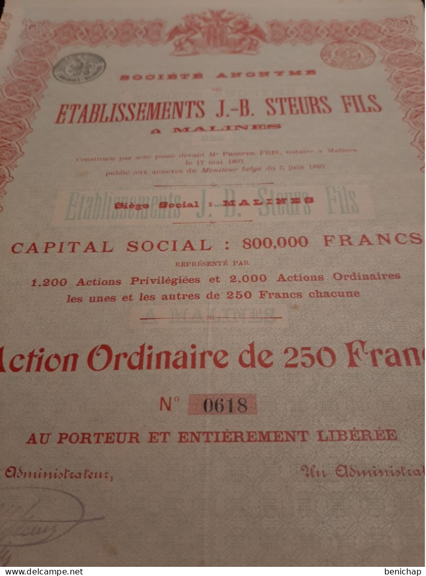 S.A.  Des Etablissements J.-B. Steurs Fils à Malines - Action Ordinaire De 250 Frs. Au Porteur - Malines Le 5 Juin 1897. - Navy