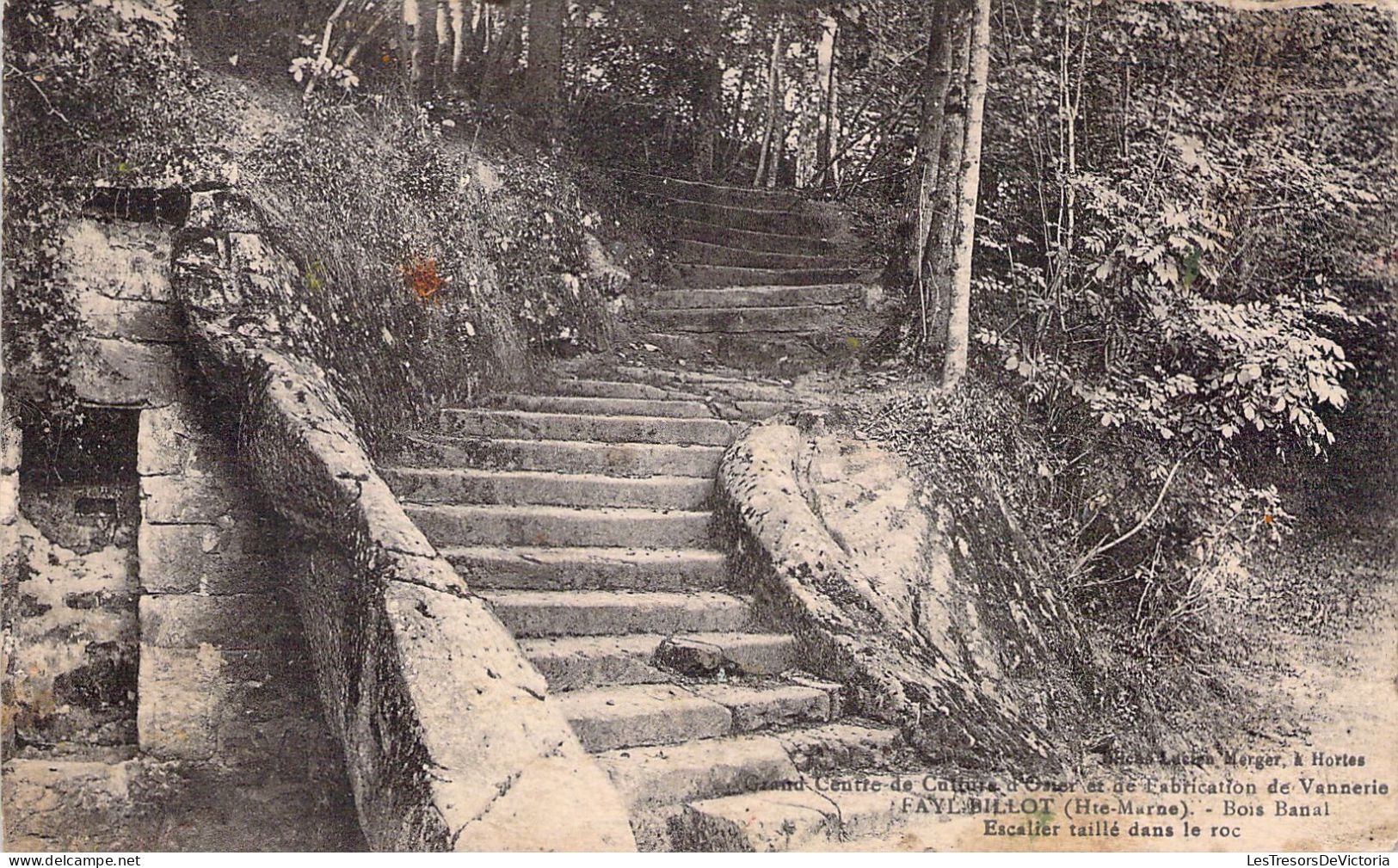 FRANCE - 52 - FAYL BILLOT - Bois Banal Escalier Taillé Dans Le Roc - Carte Postale Ancienne - Fayl-Billot