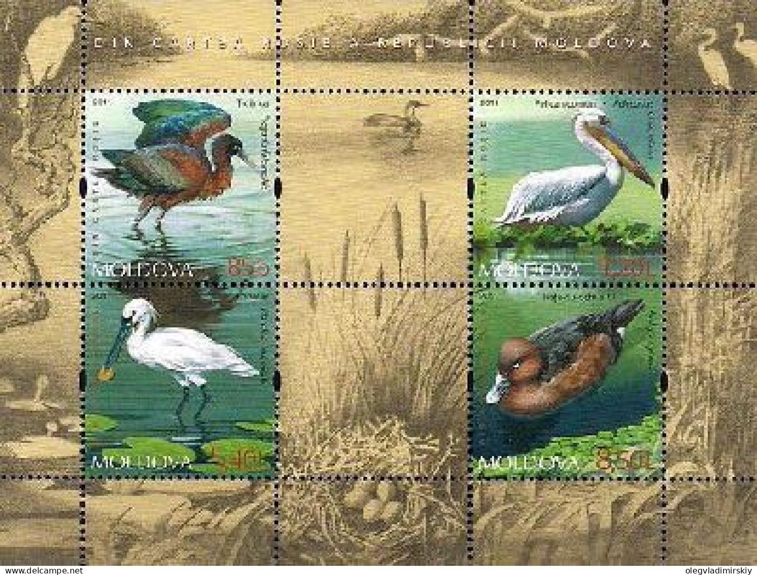 Moldova Moldavie Moldawien 2011 Rare Birds From The Red Book Set Of 4 Stamps With Labels In Block Mint - Pelikane