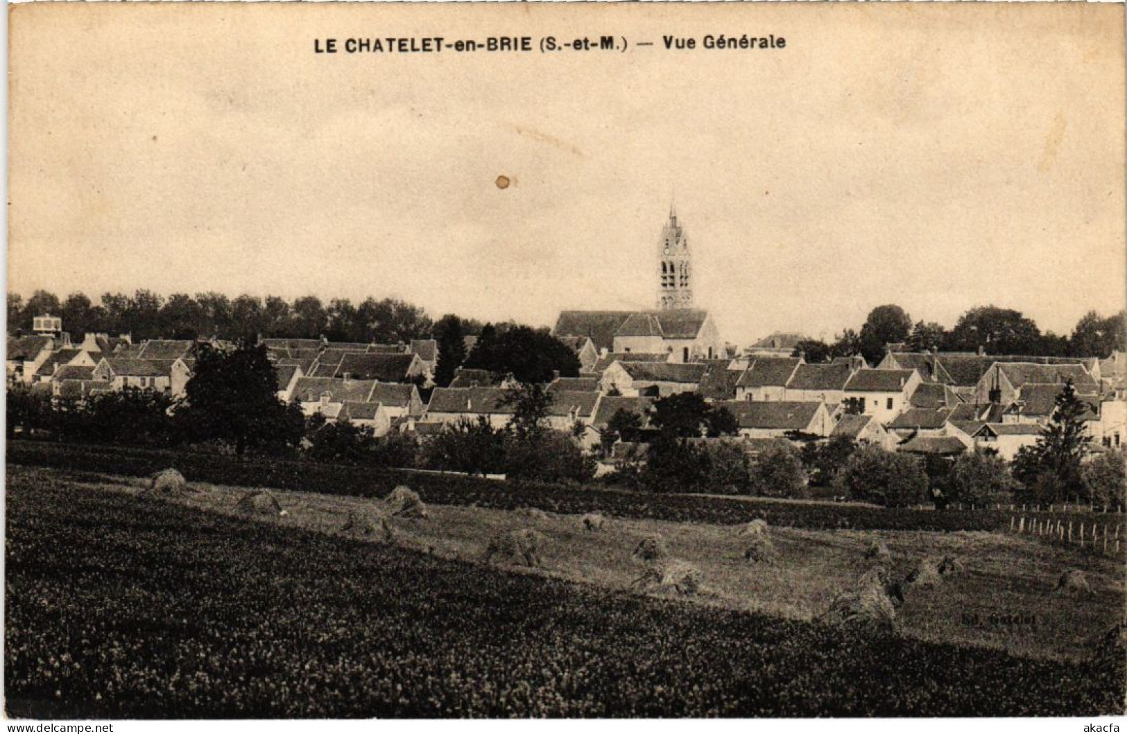 CPA LE CHATELET-en-BRIE Vue Generale (1299941) - Le Chatelet En Brie