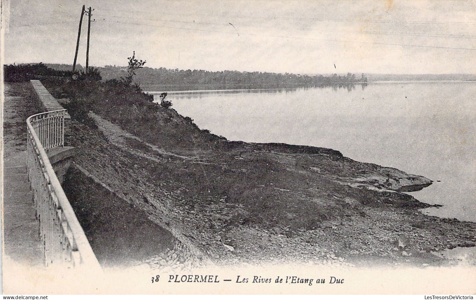 FRANCE - 56 - PLOËRMEL - Le Rives De L'Etang Au Duc - Carte Postale Ancienne - Ploërmel