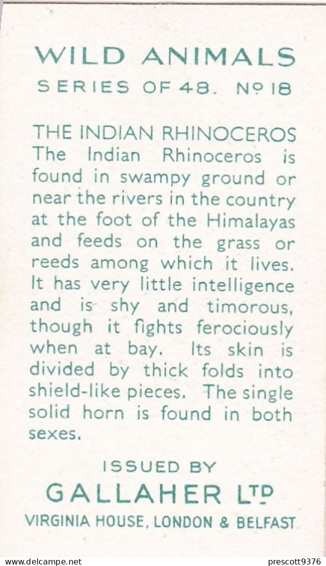 Wild Animals 1937 - 18 Indian Rhinocerus - Gallaher Cigarette Card - Original - Wildlife - Gallaher