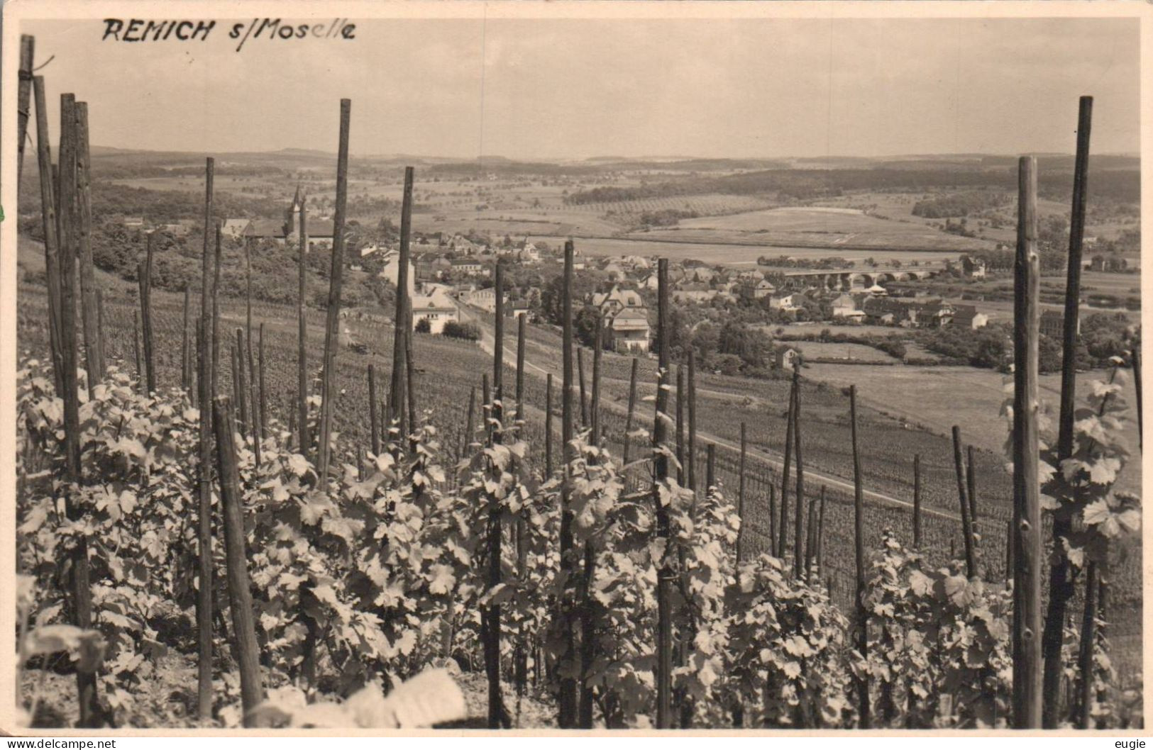 1810/ Fotokaart Remich S/Moselle - Remich