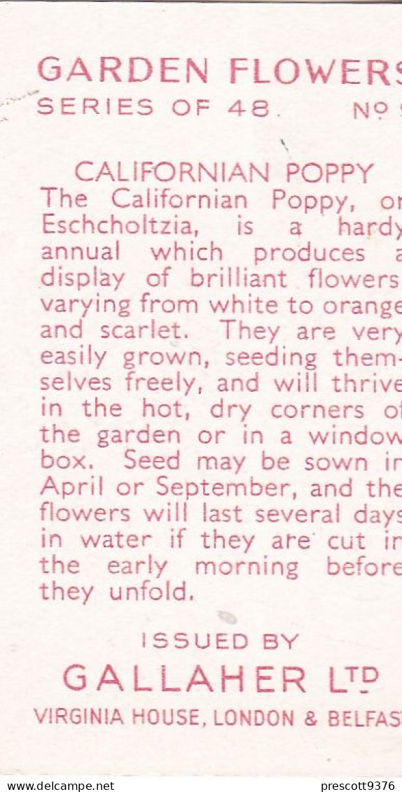 Californian Poppy - Garden Flowers 1938 - Gallaher Cigarette Card - Original - - Gallaher
