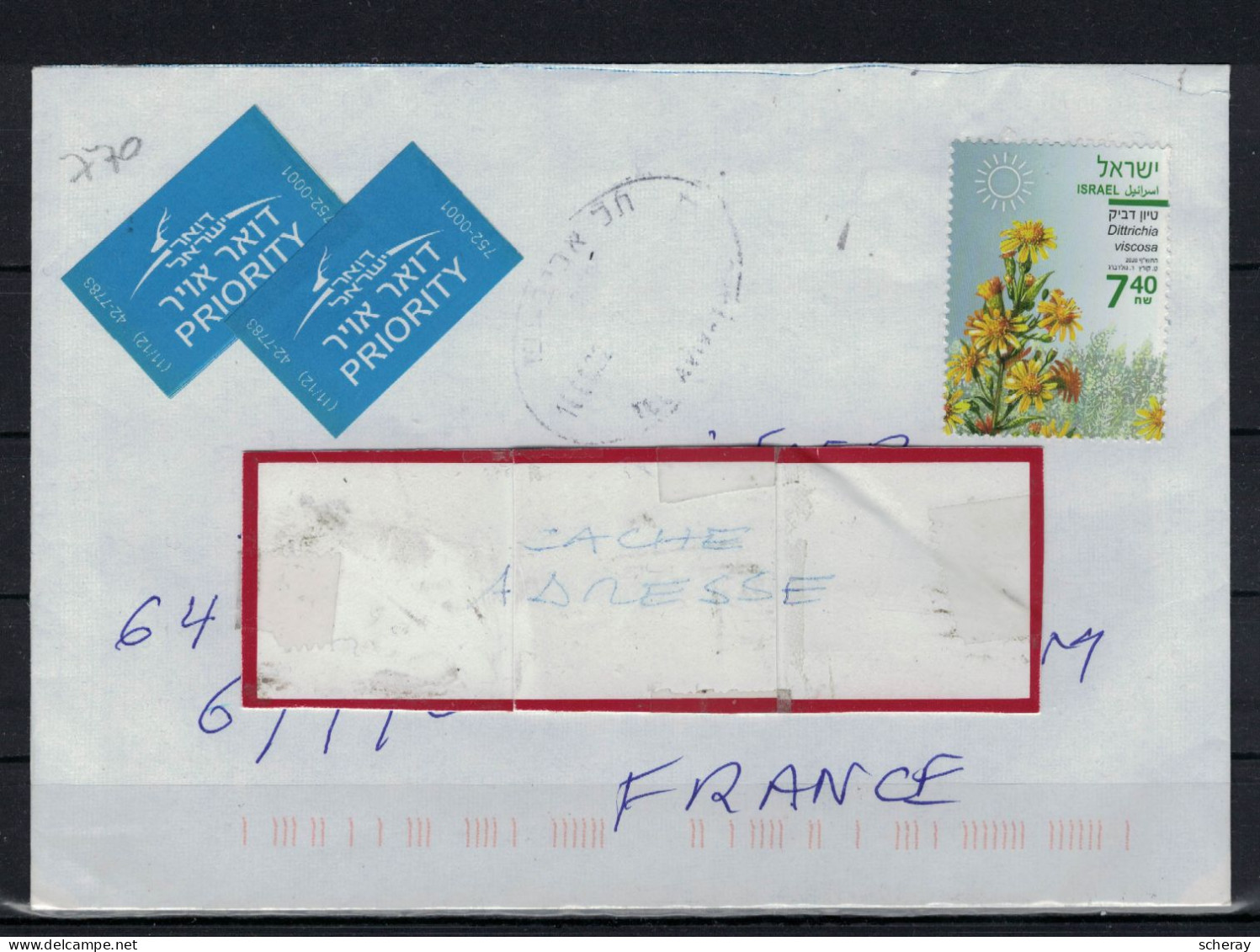 DITTRICHIA VISCOSA SUR LETTRE PRIORITAIRE D'ISRAEL ( Lot 374 ) - Lettres & Documents