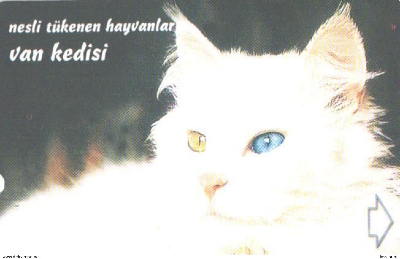 Turkey:Used Phonecard, Türk Telekom, 100 Units, Cat, 2000 - Türkei