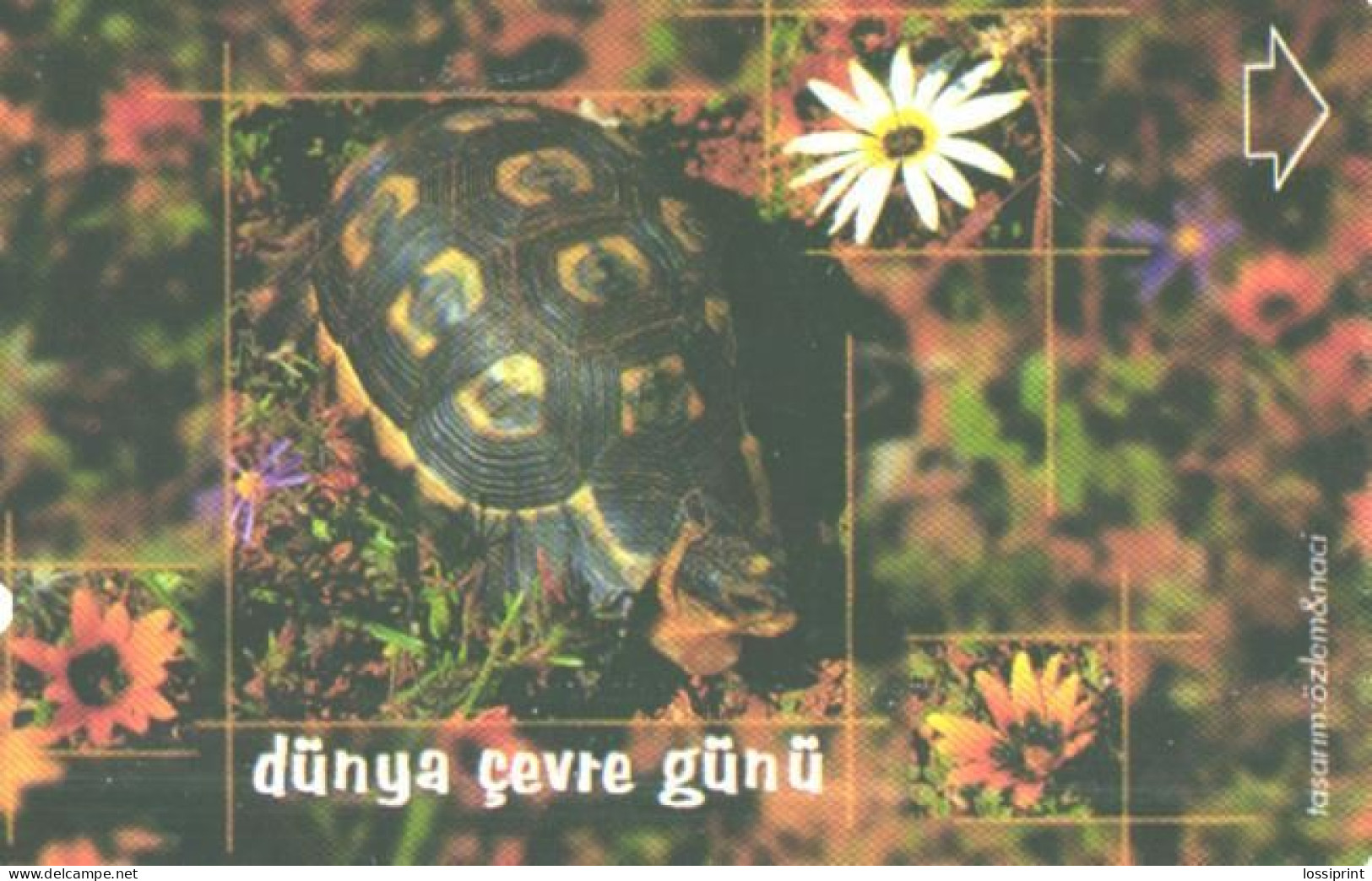 Turkey:Used Phonecard, Türk Telekom, 30 Units, Turtle, 2002 - Türkei