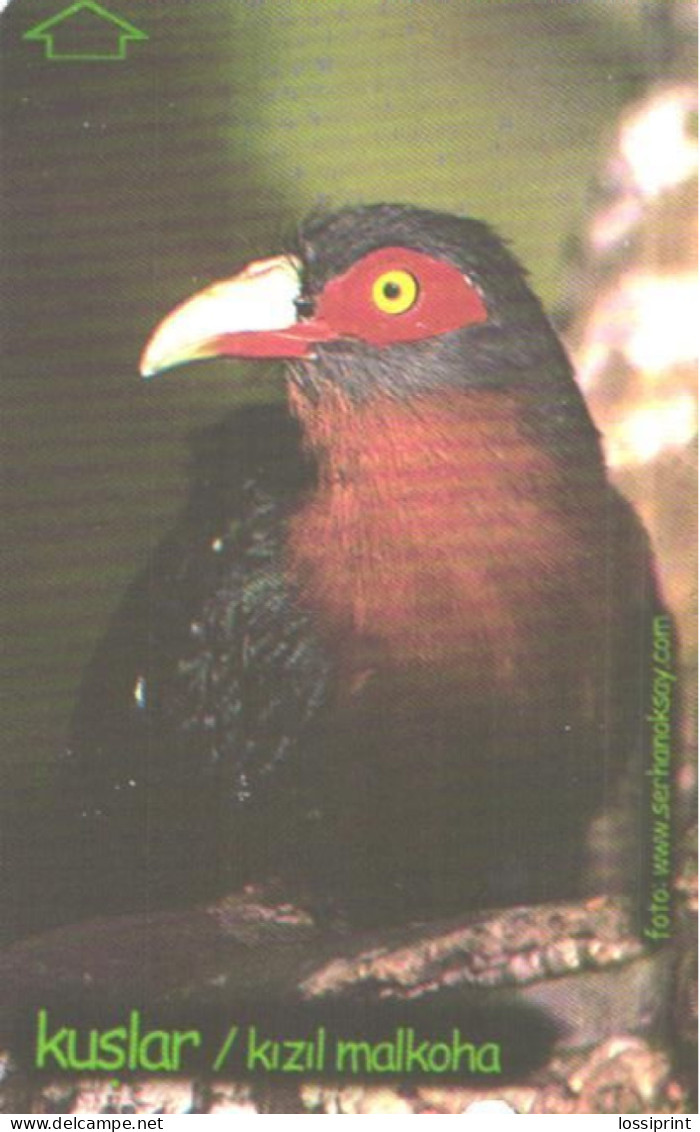 Turkey:Used Phonecard, Türk Telekom, 30 Units, Bird, 2003 - Türkei