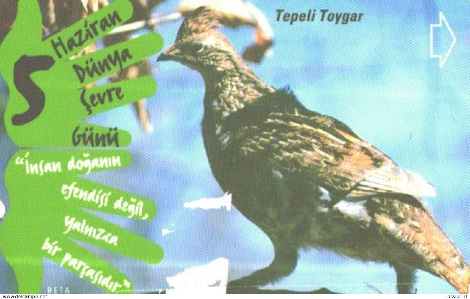 Turkey:Used Phonecard, Türk Telekom, 30 Units, Bird, 2001 - Turkije