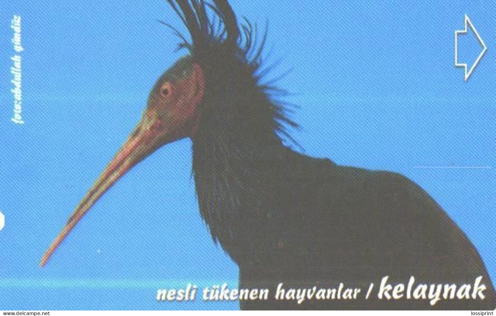 Turkey:Used Phonecard, Türk Telekom, 30 Units, Bird, 2000 - Türkei