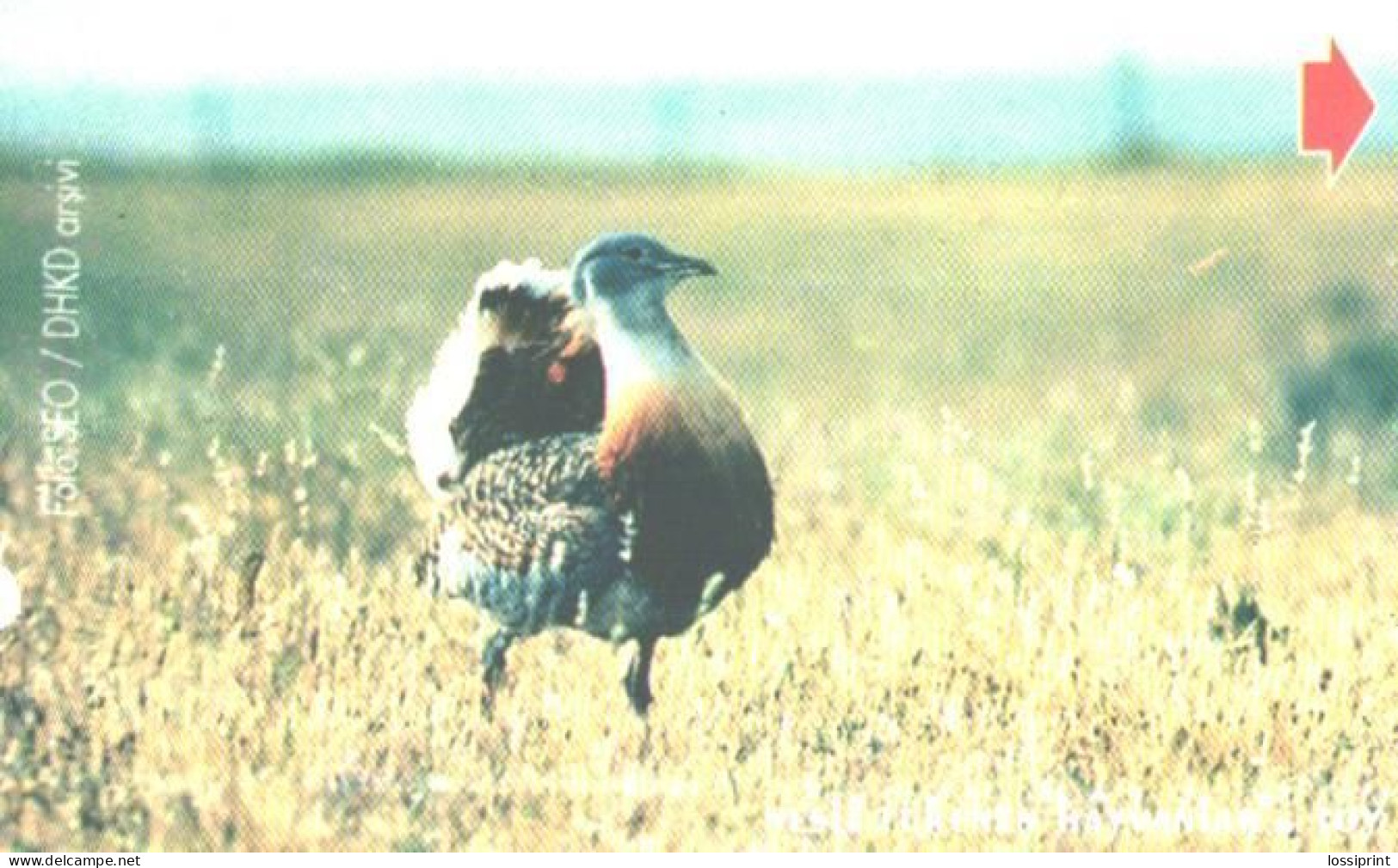 Turkey:Used Phonecard, Türk Telekom, 60 Units, Bird, 1999 - Türkei