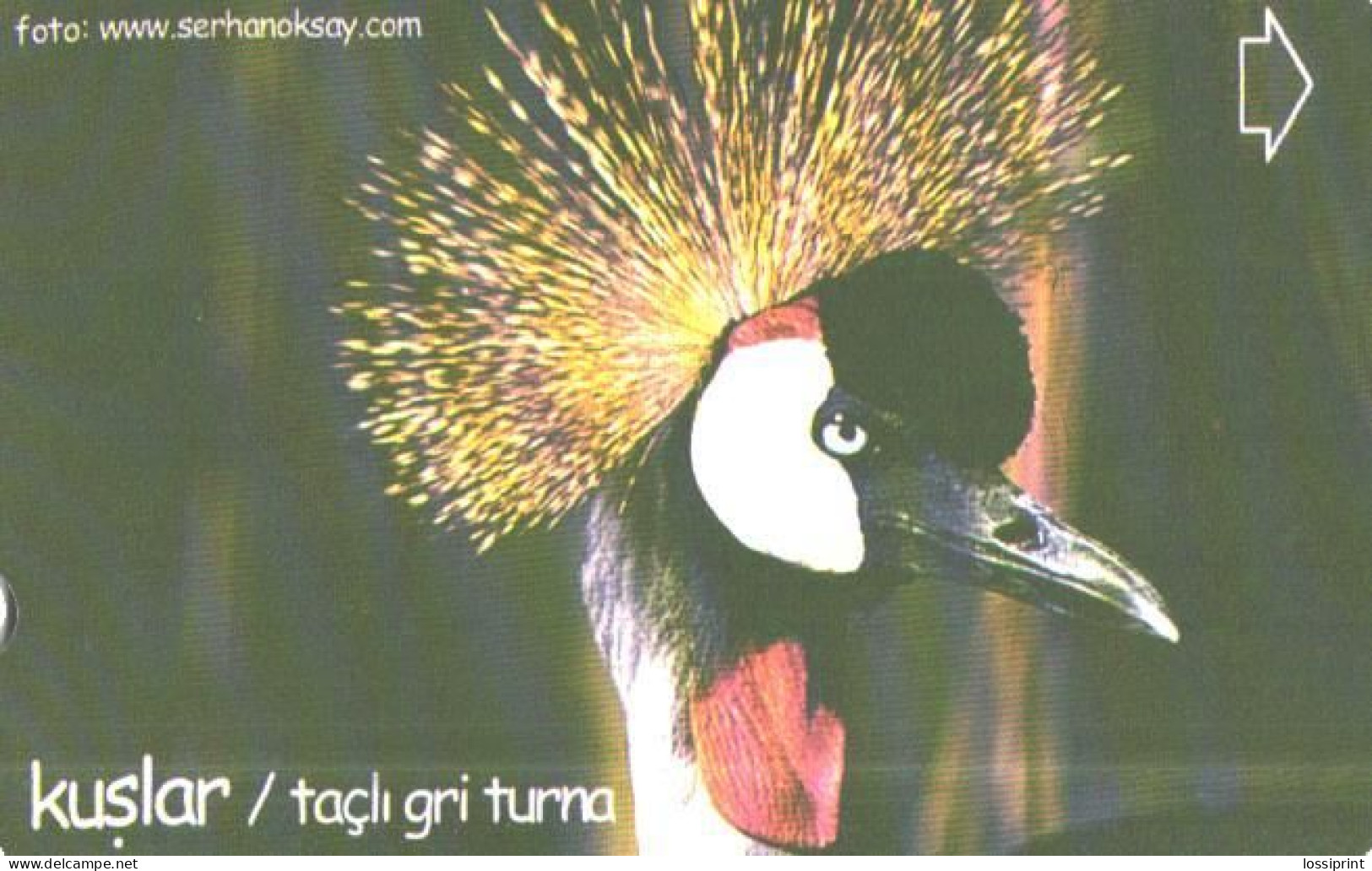 Turkey:Used Phonecard, Türk Telekom, 30 Units, Bird, Stork, 2003 - Türkei