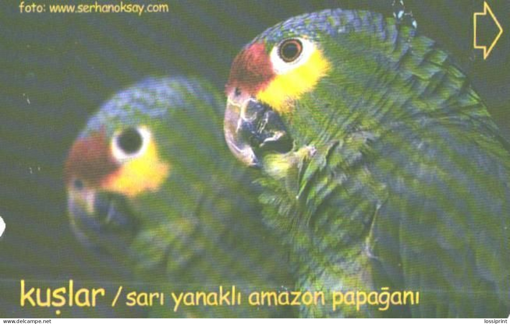 Turkey:Used Phonecard, Türk Telekom, 30 Units, Birds, Parrots, 2003 - Türkei