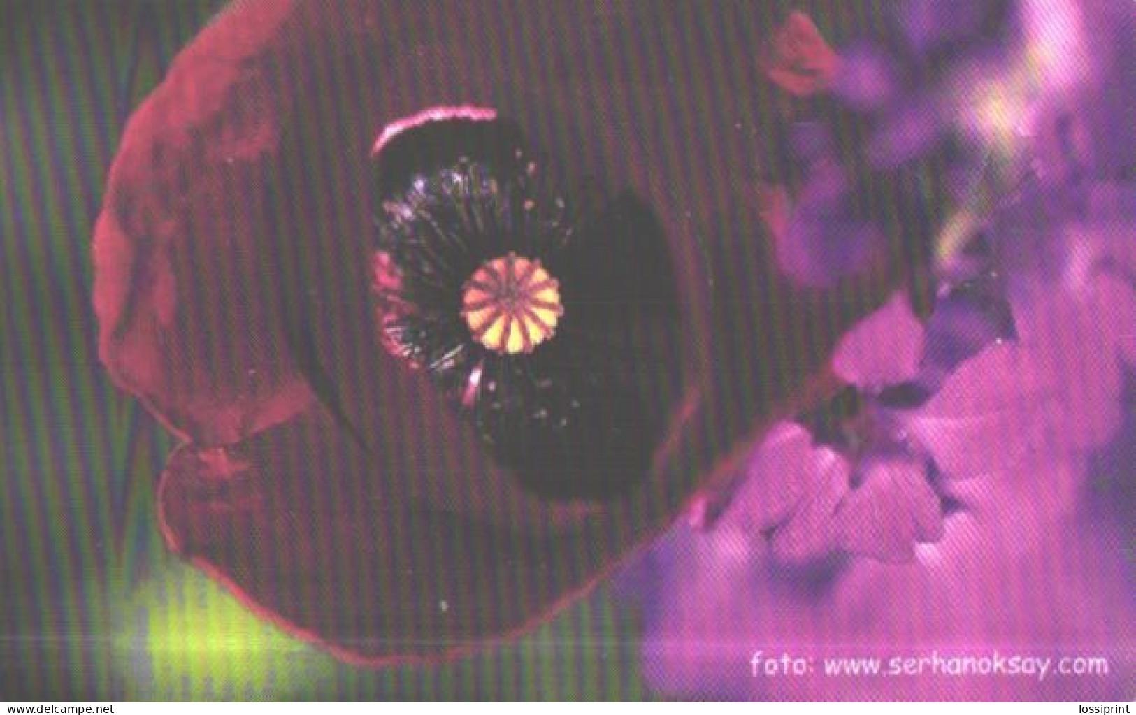 Turkey:Used Phonecard, Türk Telekom, 50 Units, Flower, 2003 - Türkei