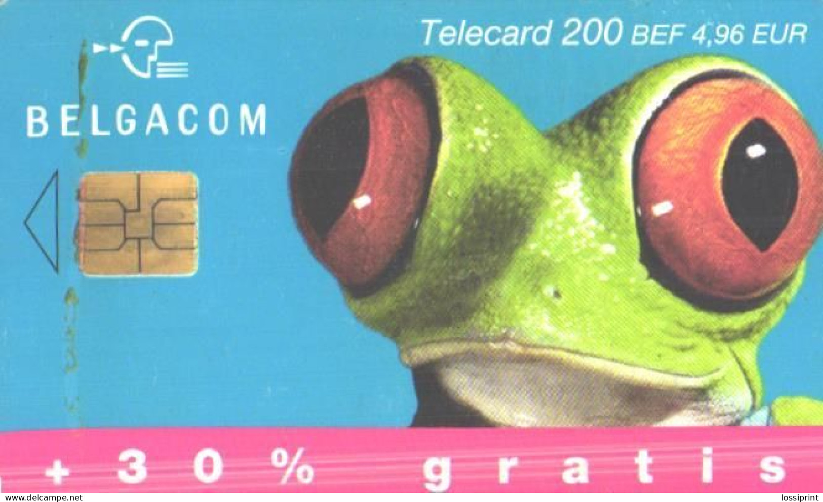 Belgium:Used Phonecard, Belgacom, 200 BEF, Frog, 2003 - Con Chip