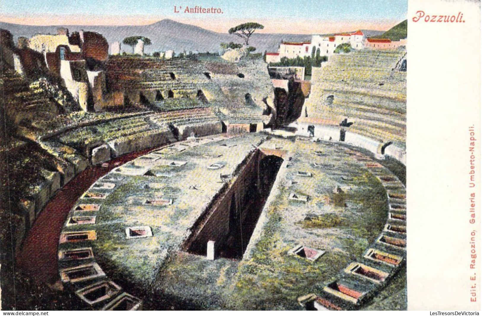 ITALIE - Pozzuoli - L'Anfiteatro - Carte Postale Ancienne - Pozzuoli