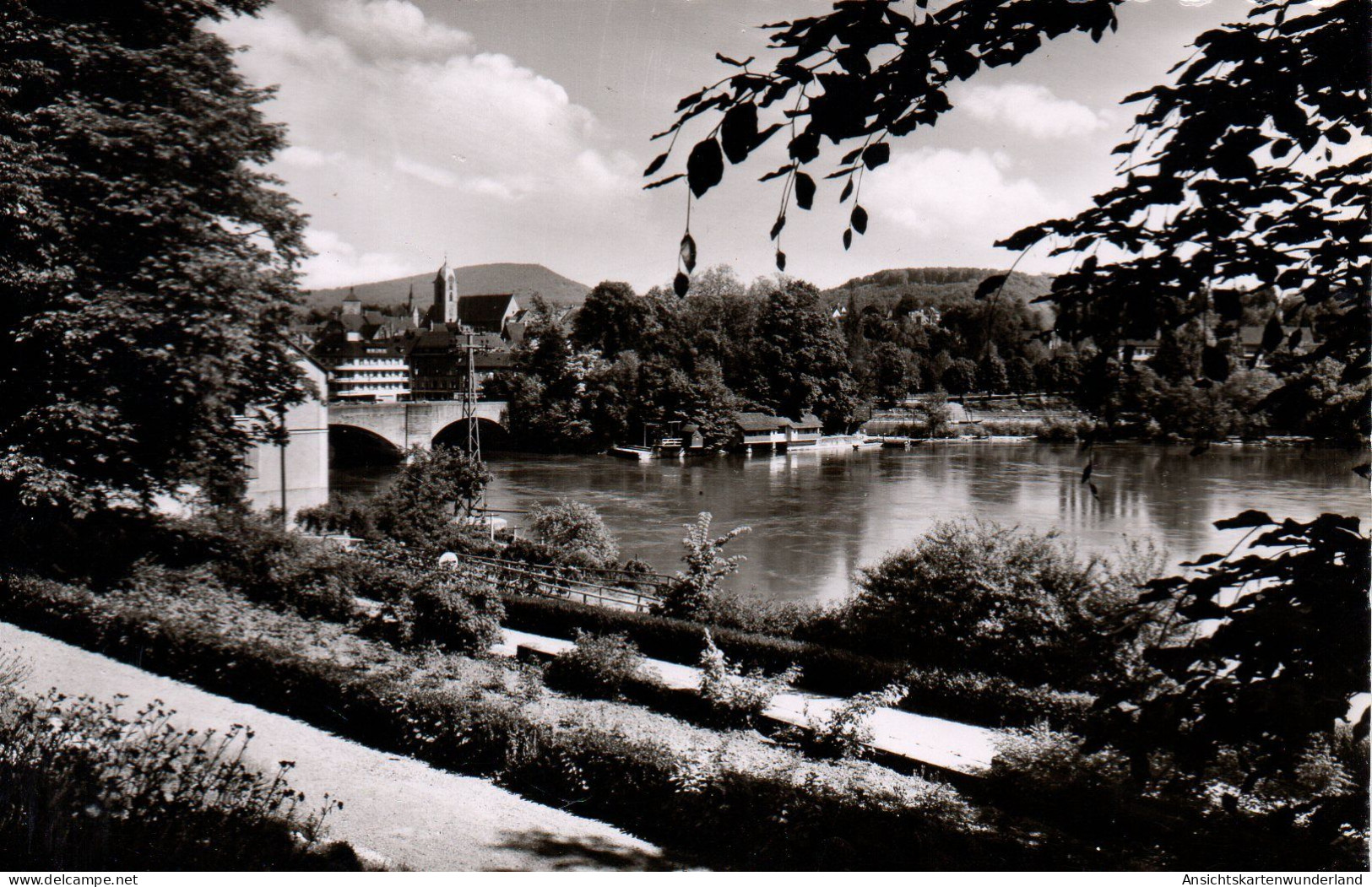 Rheinfelden/ Baden - Stadtgarten Mit Blick Zum Schweizer-Ufer (12822) - Rheinfelden