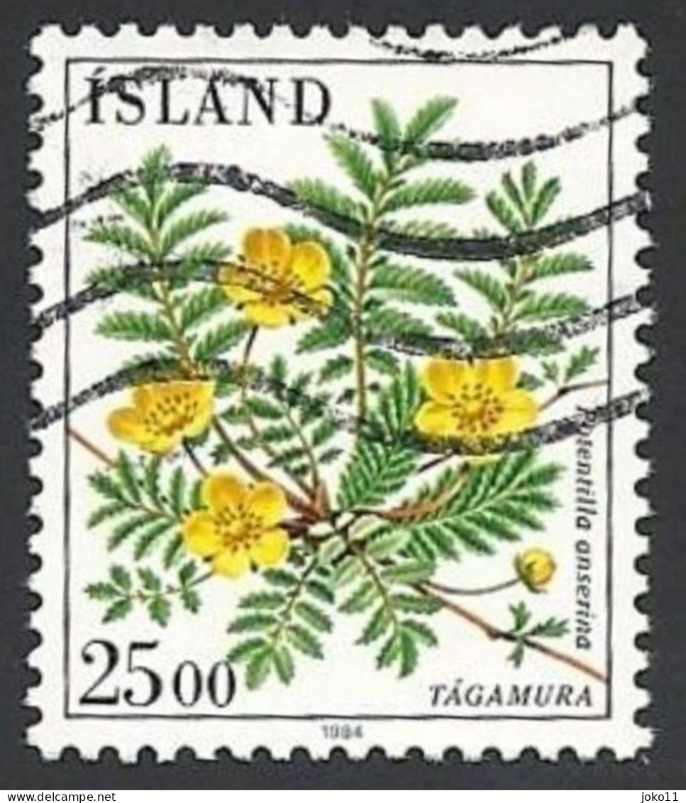 Island, 1984, Mi.-Nr. 613, Gestempelt - Used Stamps