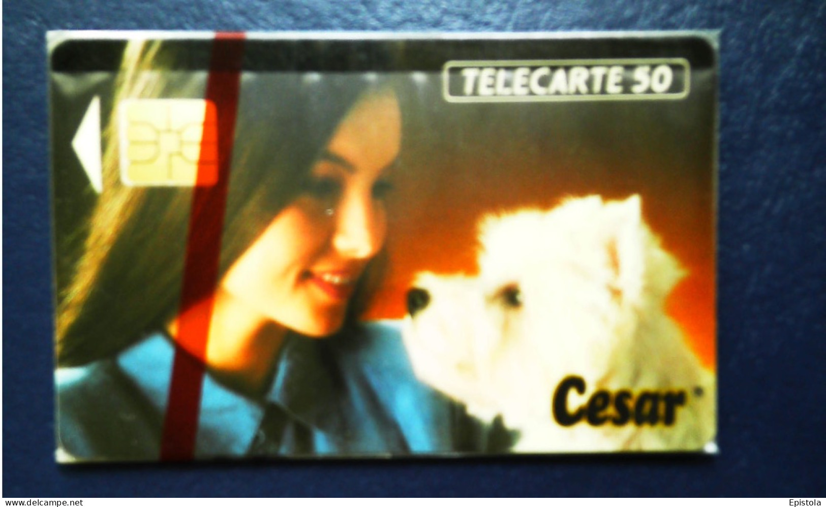 ► CESAR  Chien Dog La Plus Tendre Des Déclarations - Télécarte Neuve Sous Blister 12 300 Ex - France Telecom - Dogs