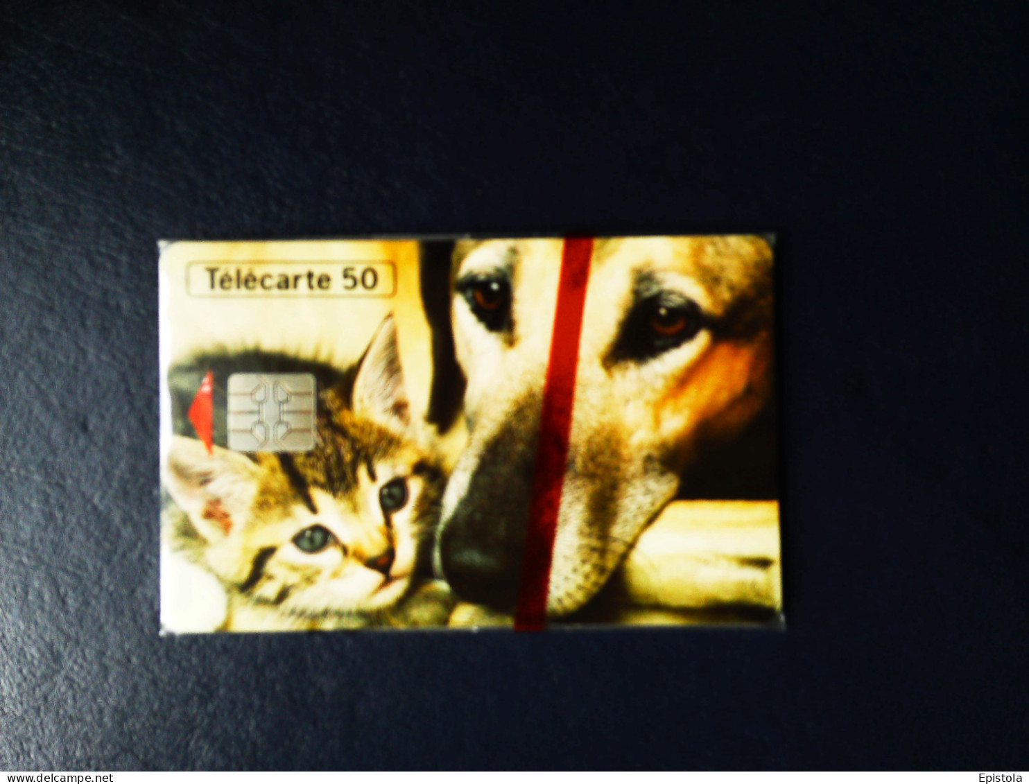 ► Journée Mondiale Des Animaux Chien Et Chat  - Télécarte Neuve Sous Blister 6 500 Ex - France Telecom - Cats