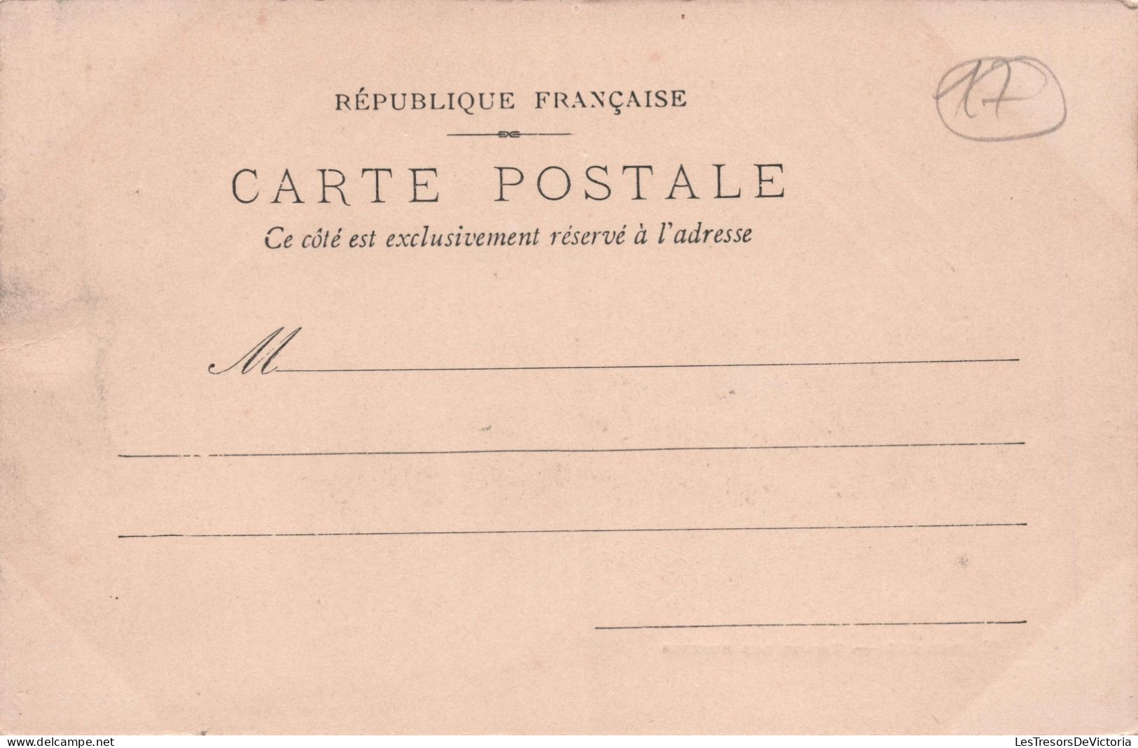 Marennes - Charente Maritime - Triage Des Huitres  - Carte Postale Ancienne - - Marennes