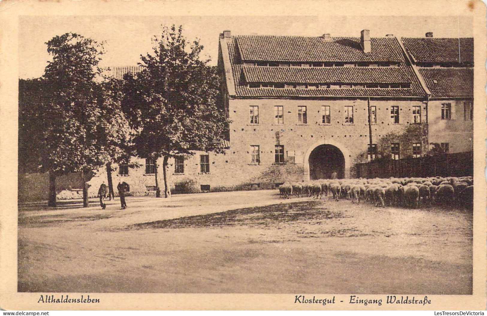 ALLEMAGNE - Althaldensleben - Klostergut - Eingang Waldstrabe - Carte Postale Ancienne - Autres & Non Classés