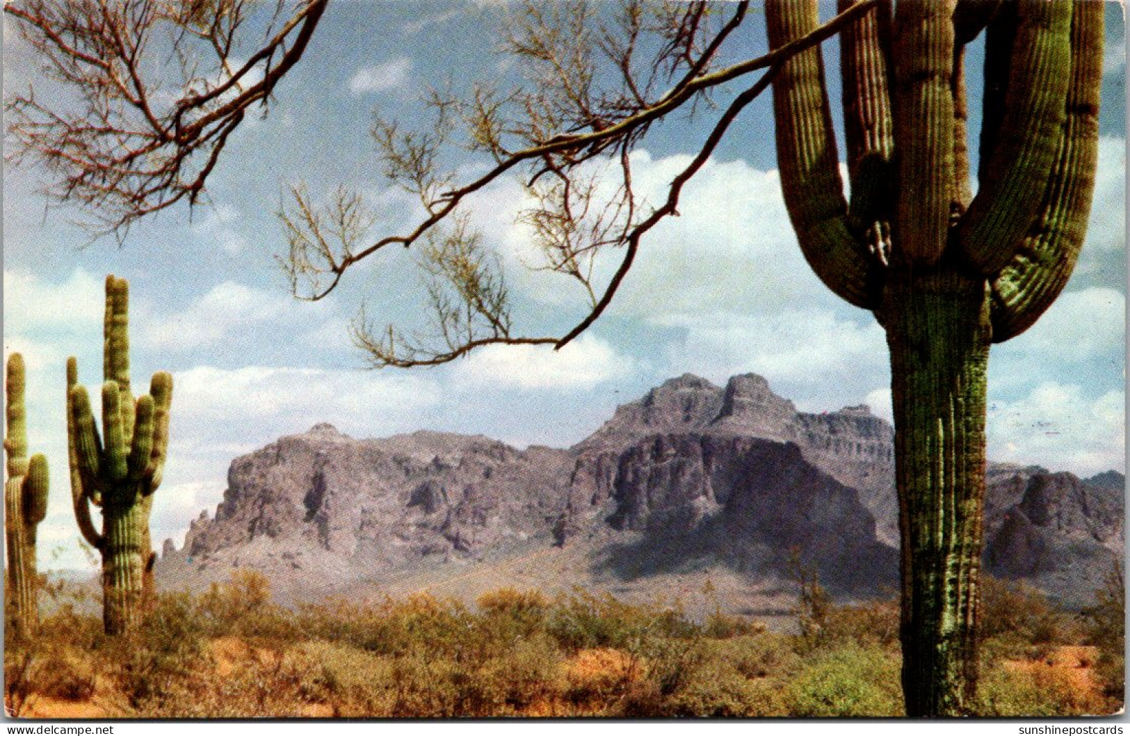 Arizona Mesa Superstition Mountain - Mesa