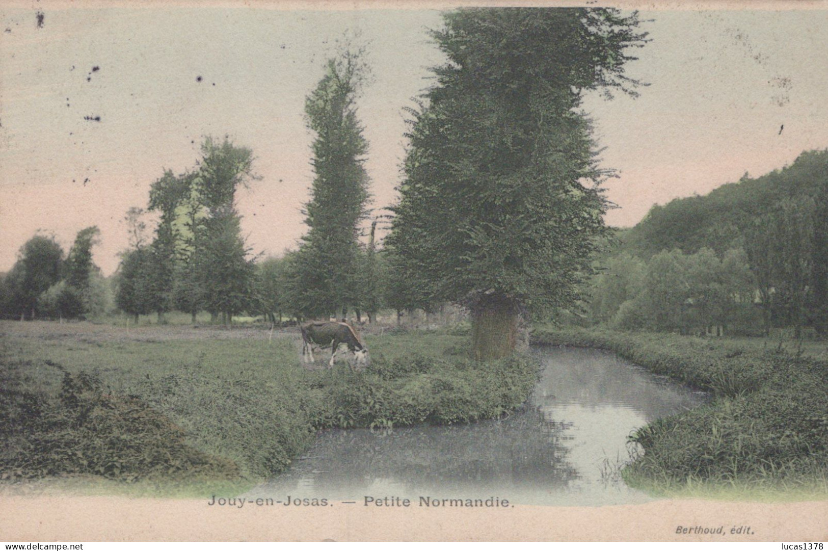 78 / JOUY EN JOSAS / PETITE NORMANDIE / COLORISEE - Jouy En Josas