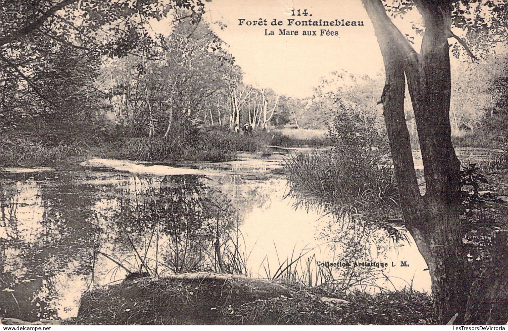 FRANCE - 77 - FONTAINEBLEAU - La Mare Aux Fées - Carte Postale Ancienne - Fontainebleau