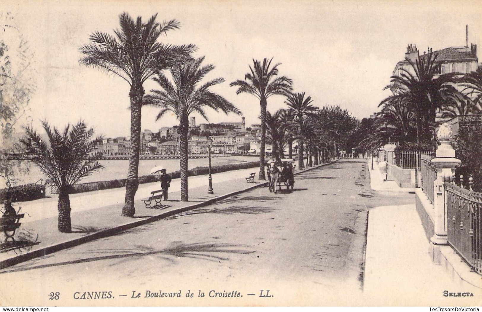 FRANCE - 06 - CANNES - Le Boulevard De La Croisette - LL - Carte Postale Ancienne - Cannes