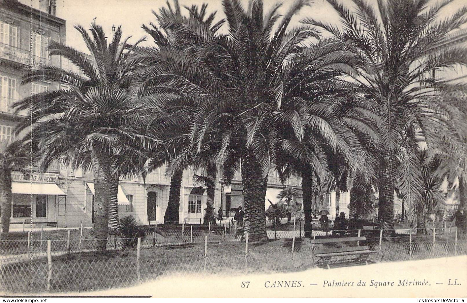 FRANCE - 06 - CANNES - Palmiers Et Square Mérimée - LL - Carte Postale Ancienne - Cannes