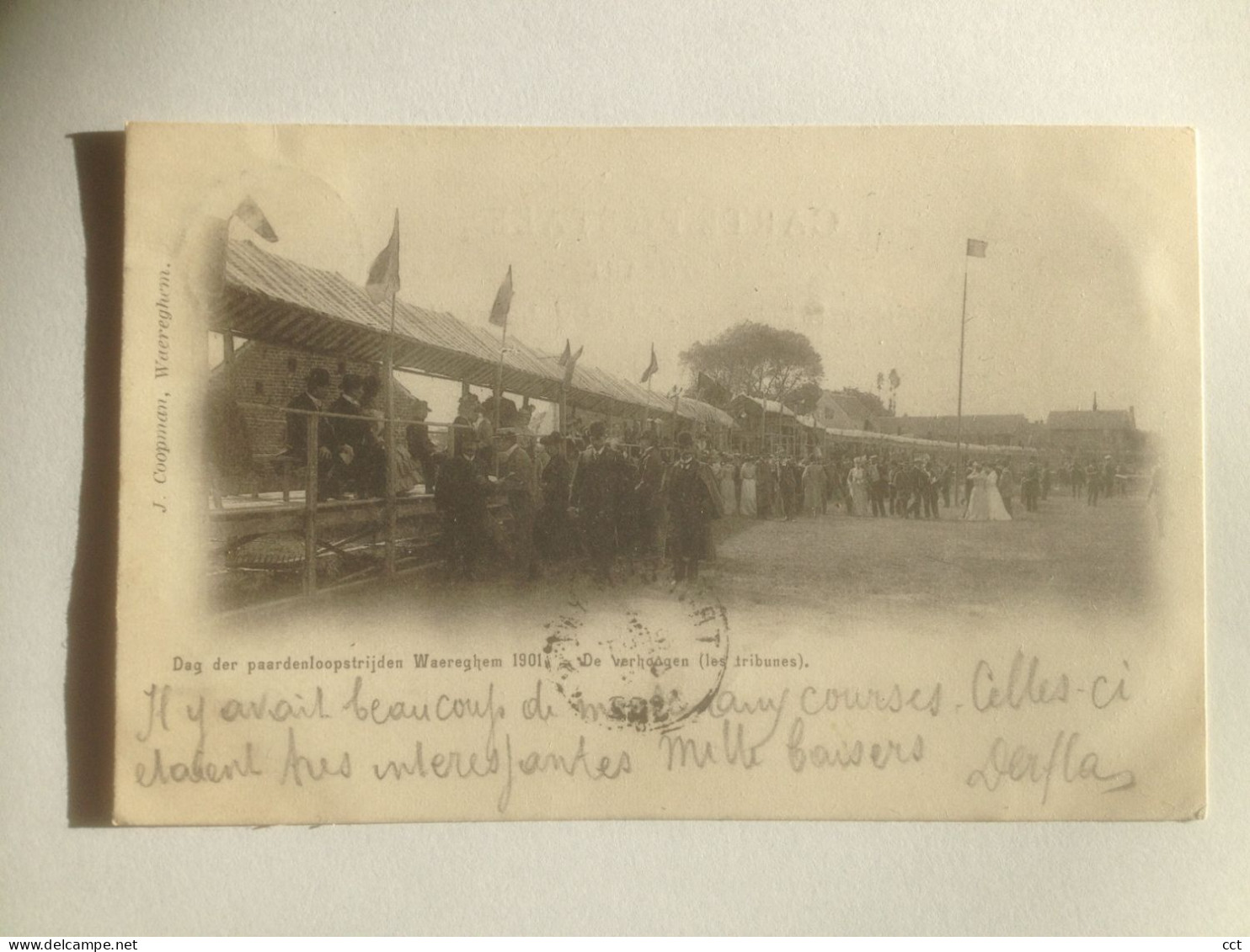 Waereghem  Waregem   Dag Den Paardenloopstrijden 1901  Les Tribunes   COURSE CHEVAUX - Waregem