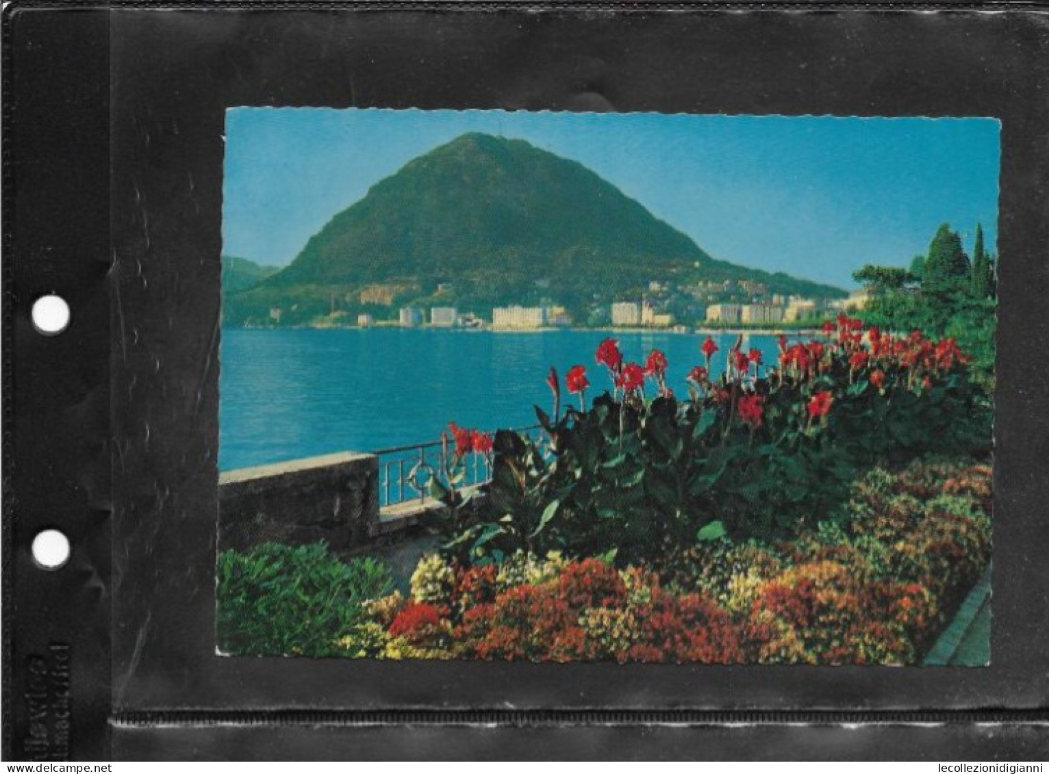 723) Svizzera Canton Ticino Cartolina Lugano Paradiso Monte S. Salvatore Mit Agfacolor Fiori Fioritura - St. Anton