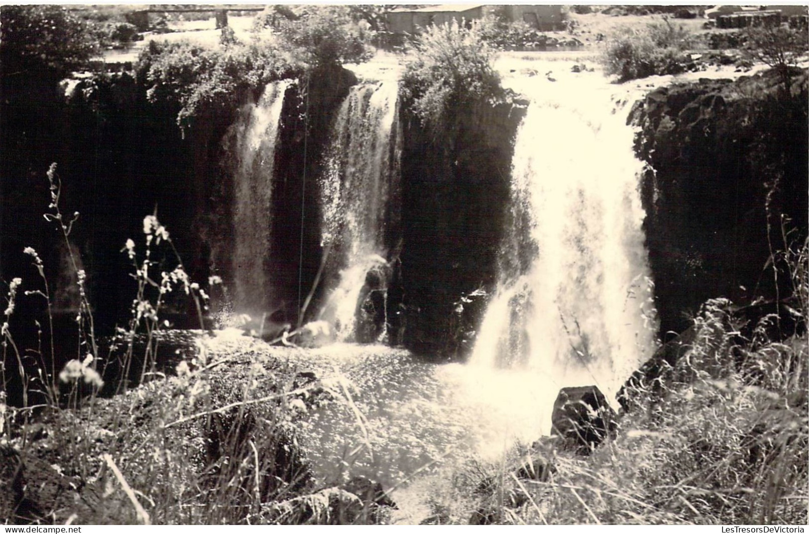 MADAGASCAR - Chute De La Lily - Carte Postale Ancienne - Madagascar