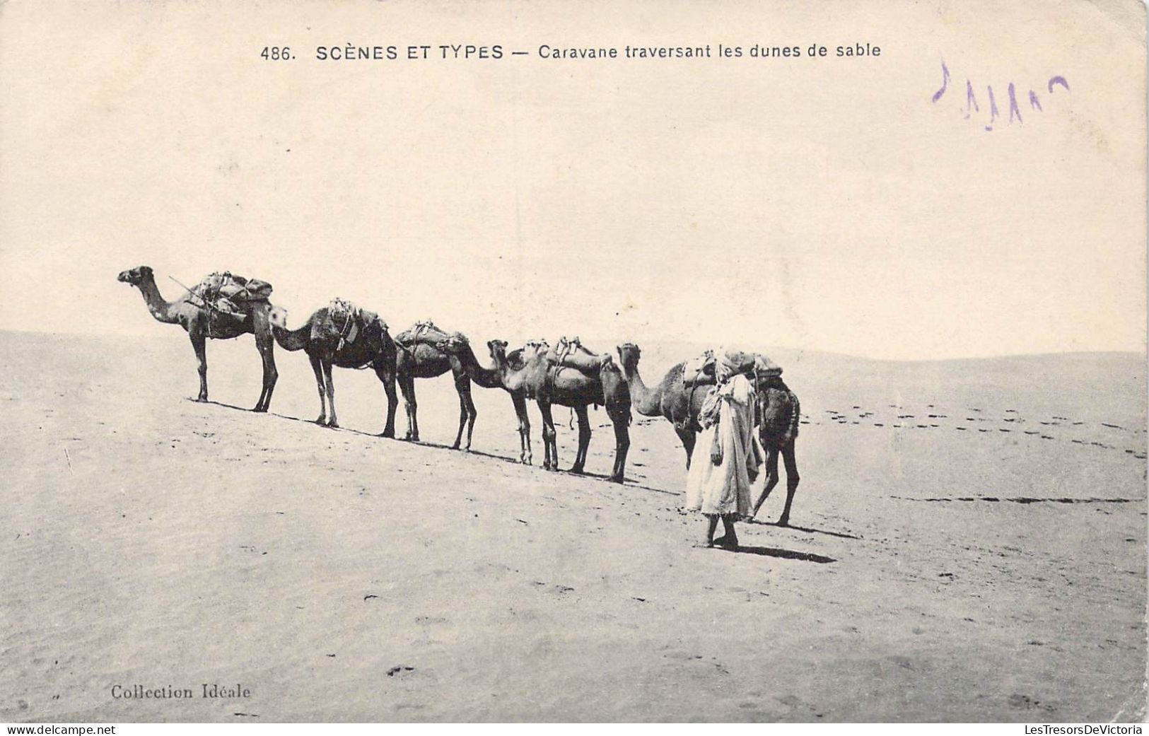 ALGERIE - Scènes Et Types - Caravane Traversant Les Dunes De Sable - Carte Postale Ancienne - Scènes & Types