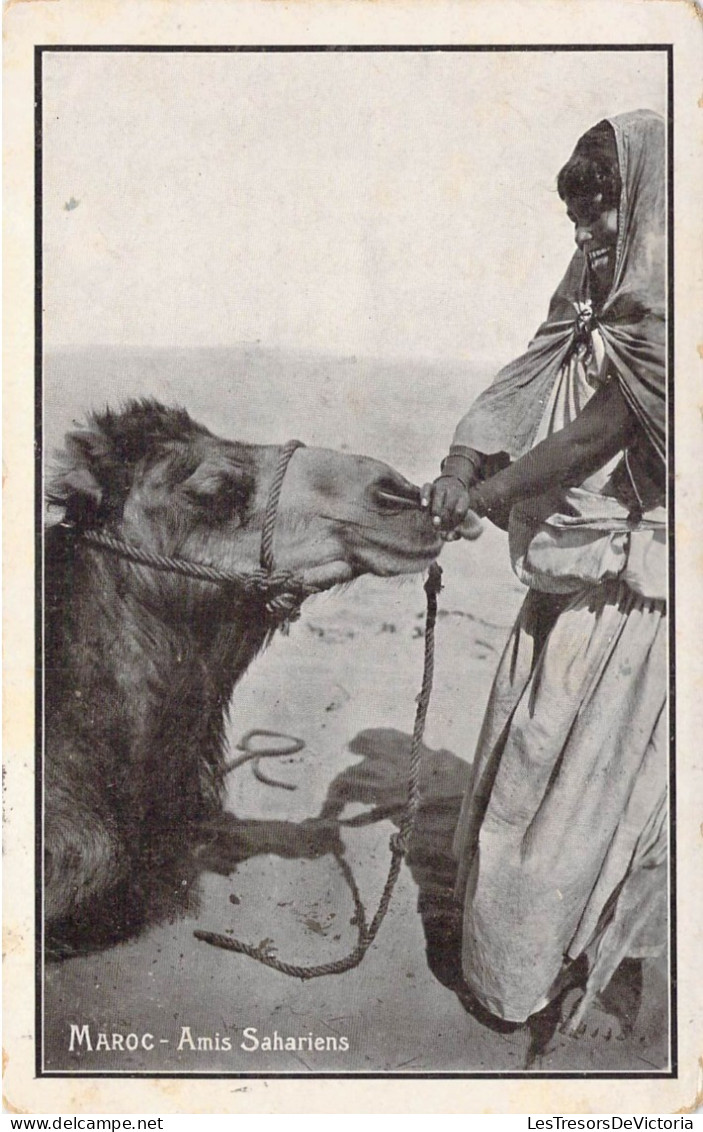 MAROC - Amis Sahariens - Carte Postale Ancienne - Autres & Non Classés