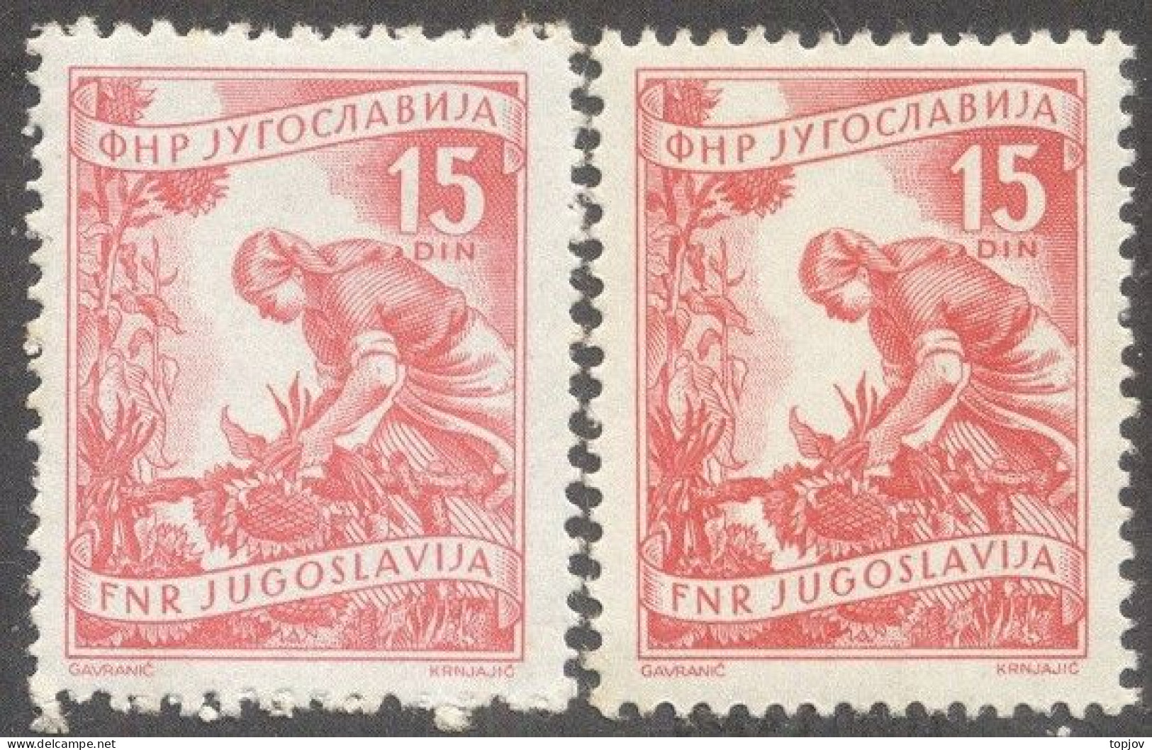 JUGOSLAVIA - ERROR COLOR + WHITE AND YELLOW RUBBER  - 3nd INDUSTRY  15 Din - 1952 - Ongetande, Proeven & Plaatfouten