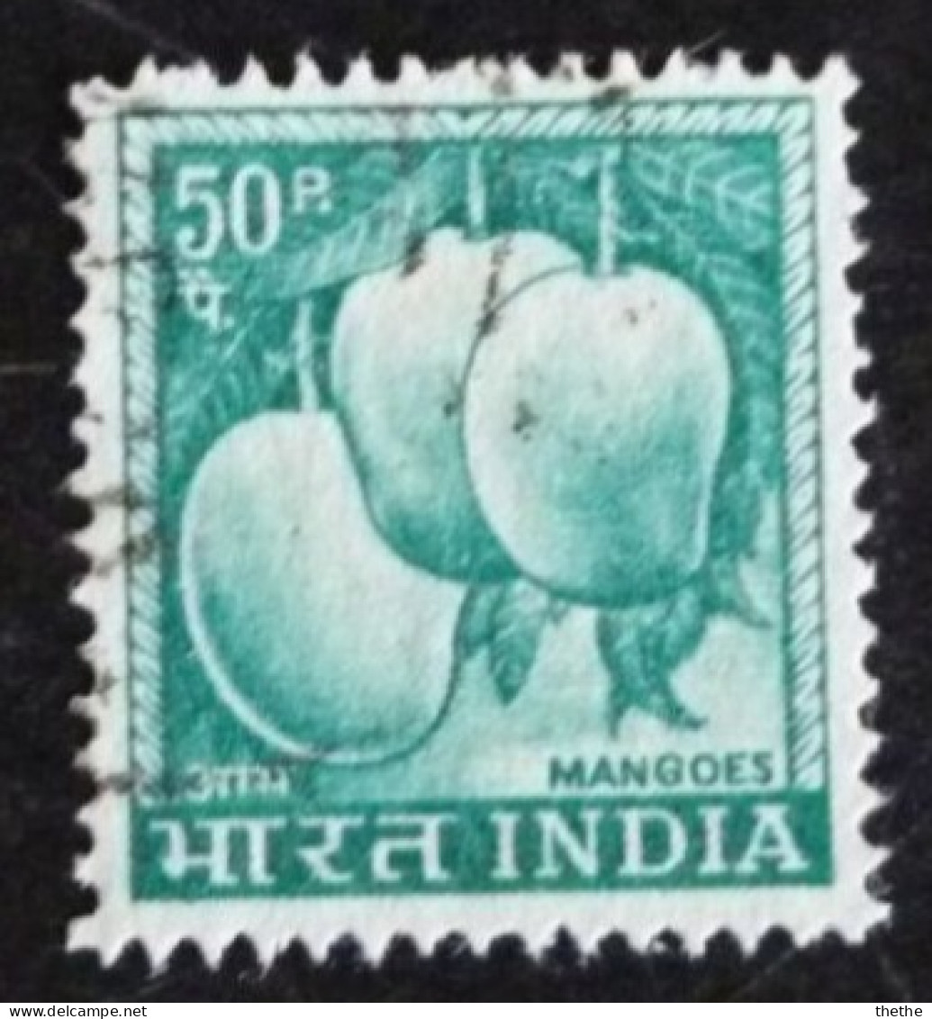 INDE - Mangues (Mangifera Indica) - Usati