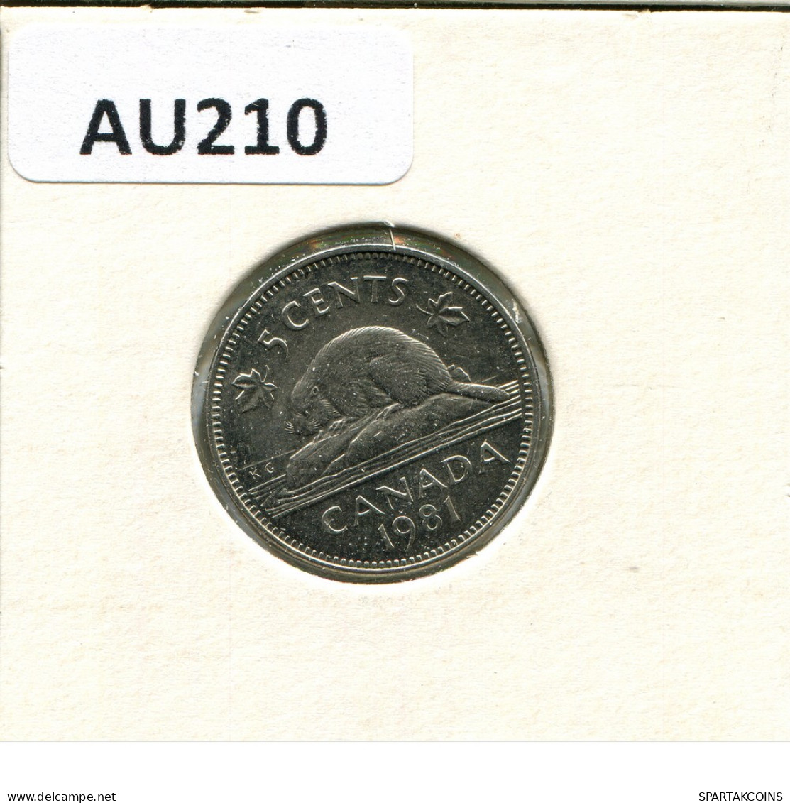 5 CENT 1981 CANADA Moneda #AU210.E - Canada