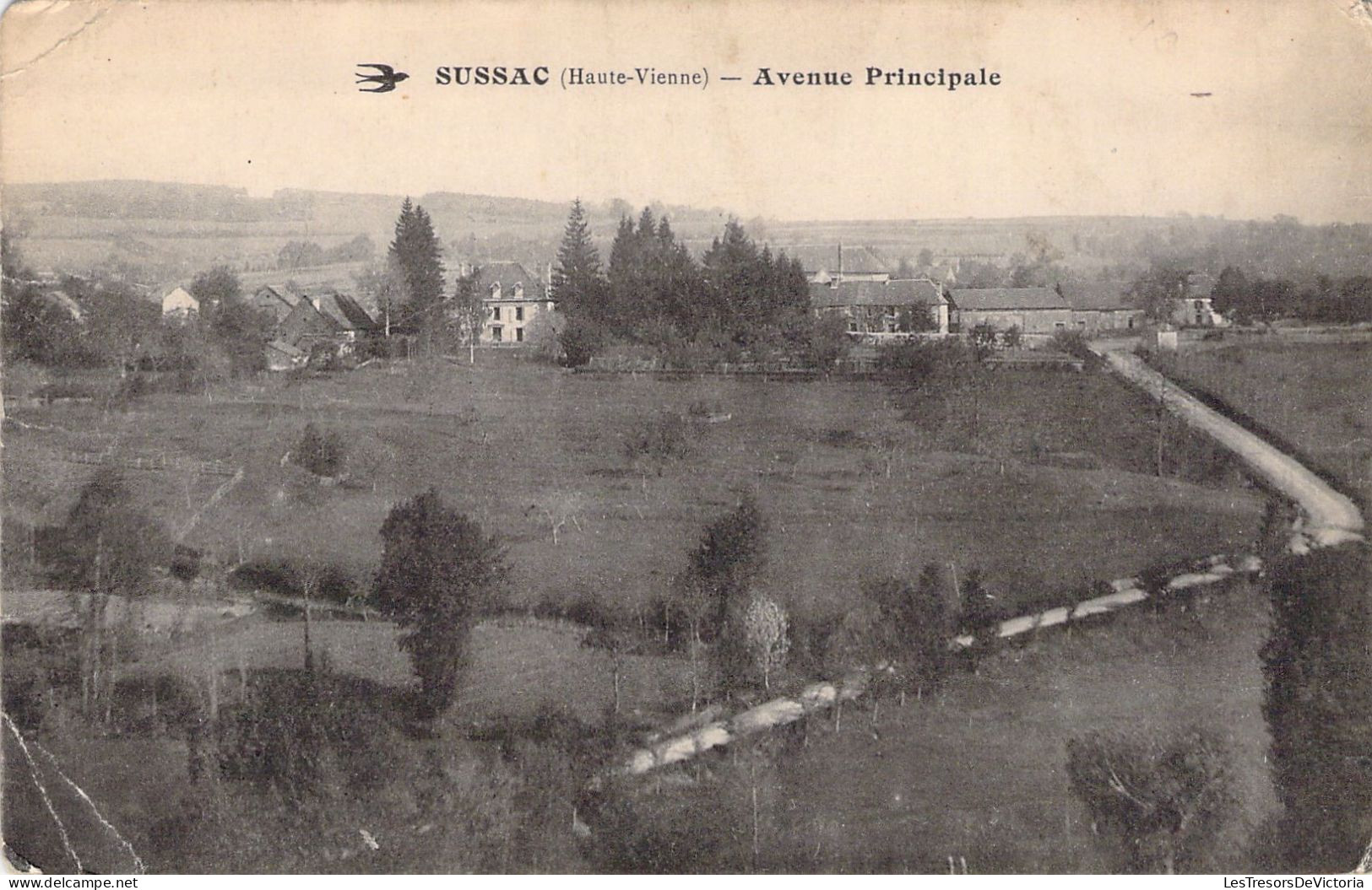 FRANCE - 87 - SUSSAC - Avenue Principale - Carte Postale Ancienne - Otros & Sin Clasificación