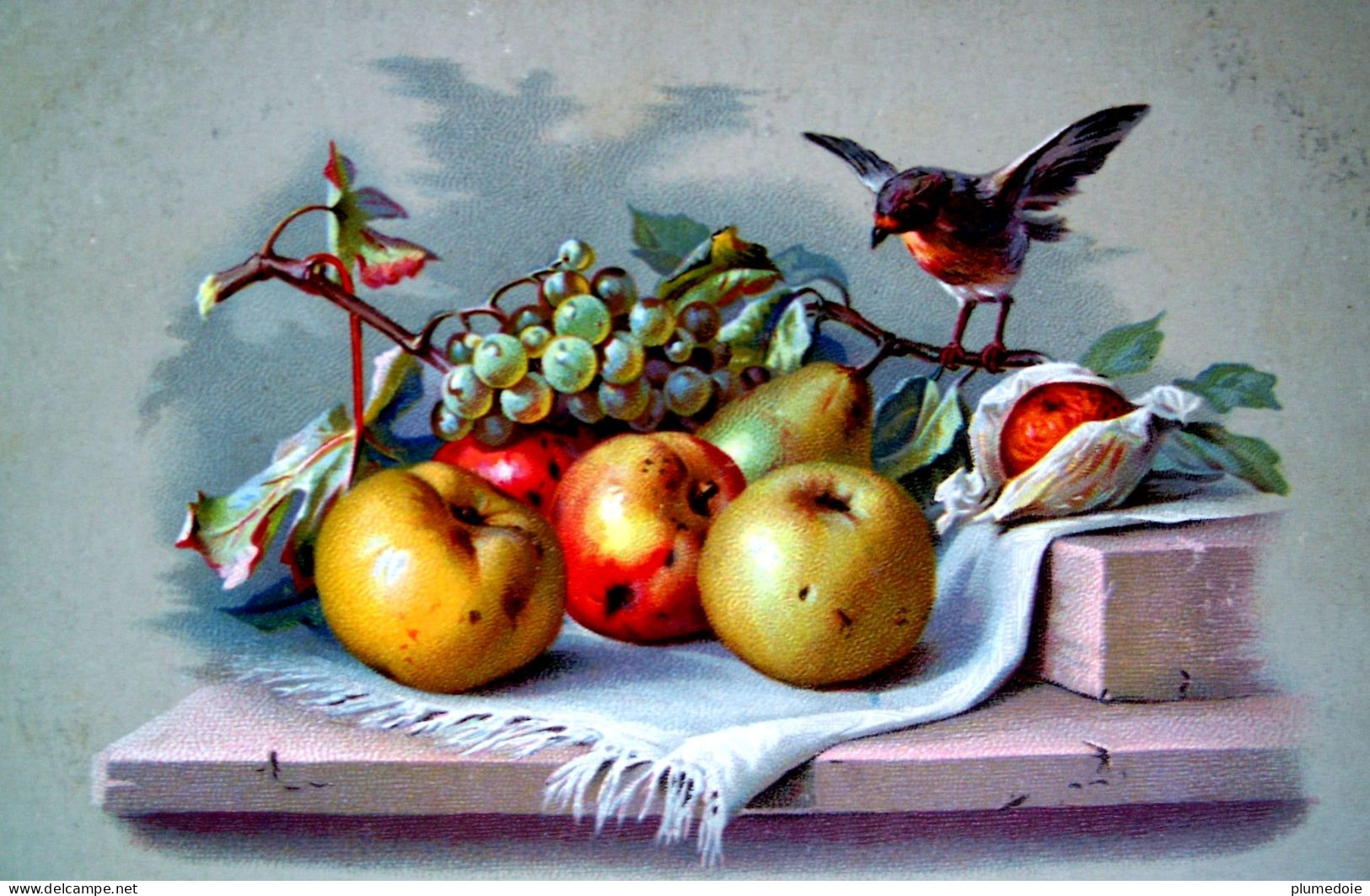 Cpa NATURE MORTE OISEAU RAISIN ORANGE POMME  POIRE Pommes Mures , BIRD Grapes & Apple  STILL LIFE OLD PC - Geneeskrachtige Planten