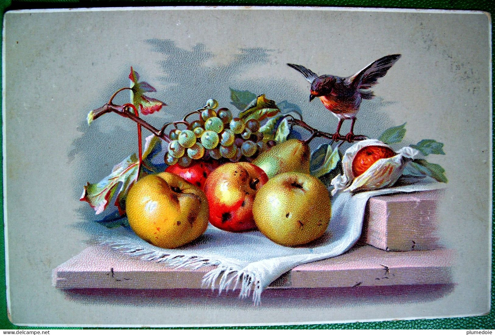 Cpa NATURE MORTE OISEAU RAISIN ORANGE POMME  POIRE Pommes Mures , BIRD Grapes & Apple  STILL LIFE OLD PC - Medicinal Plants