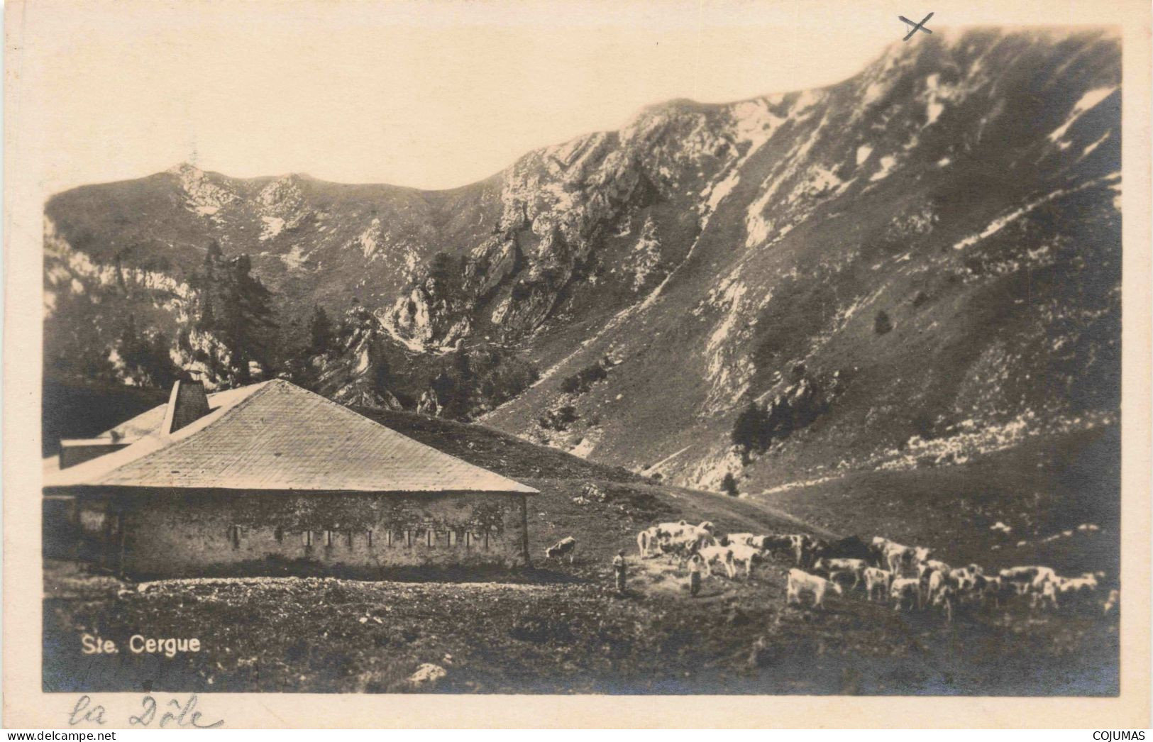 SUISSE - S14698 - Ste Cergue - Vue Générale - Agriculture - En L'état Pli - L23 - Saint-Cergue